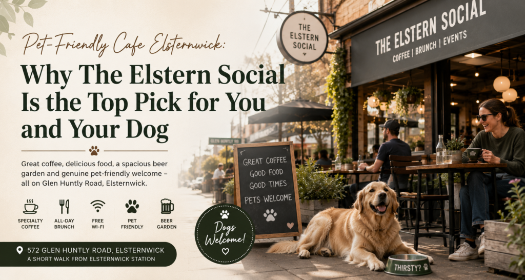 Pet-Friendly Cafe Elsternwick Why The Elstern Social Is the Top Pick for You and Your Dog
